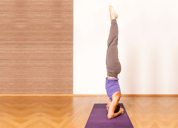 Tư thế yoga đứng bằng cẳng tay