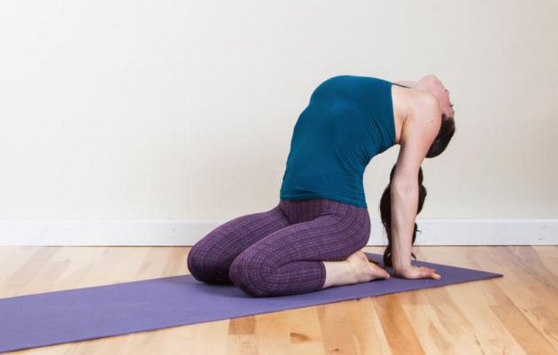 Tư thế yoga thải độc ngồi mở rộng ngực dễ thực hiện 