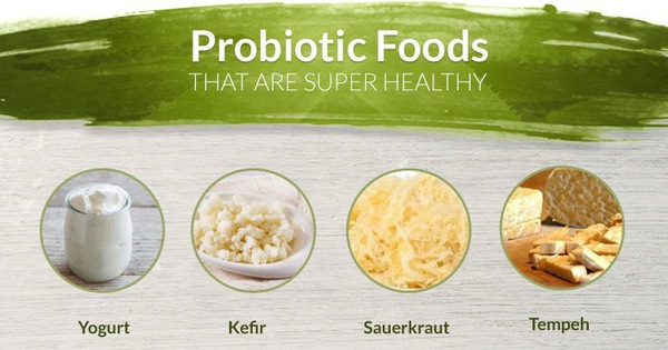 Bổ sung probiotic vào trong chế độ ăn hàng ngày