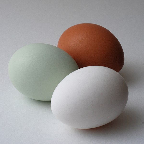 Trứng gà là món ăn không thể bỏ qua trong quá trình giảm cân