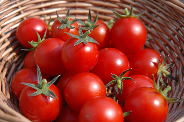 Cà chua lọt top các loại rau giảm cân được nhiều người ưa chuộng