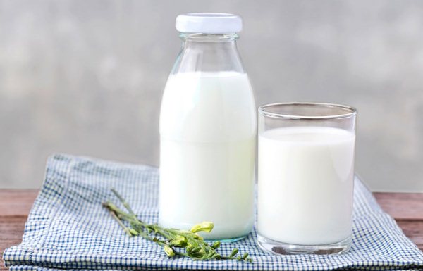 Sữa tươi không đường chứa nhiều thành phần dưỡng chất cần thiết với cơ thể