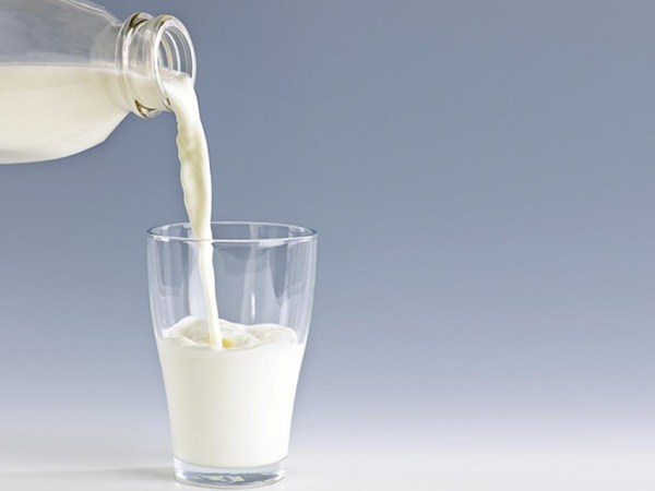 Sữa tươi không đường là thực phẩm chứa rất ít calo