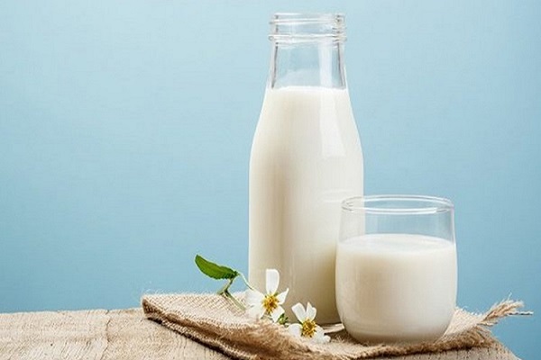 Sữa không đường hỗ trợ giảm cân, bổ sung dinh dưỡng cho cơ thể