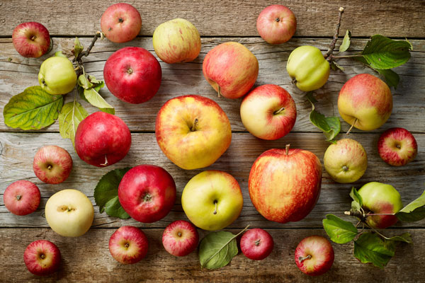 Trong táo có chứa hàm lượng lớn chất xơ, pectin và các vitamin cùng khoáng chất