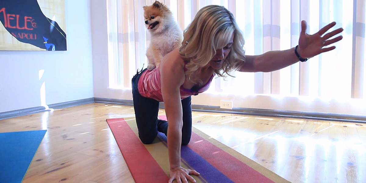 Doga – Trào Lưu Tập Yoga Cùng Chó Cực Nóng! | CFYC